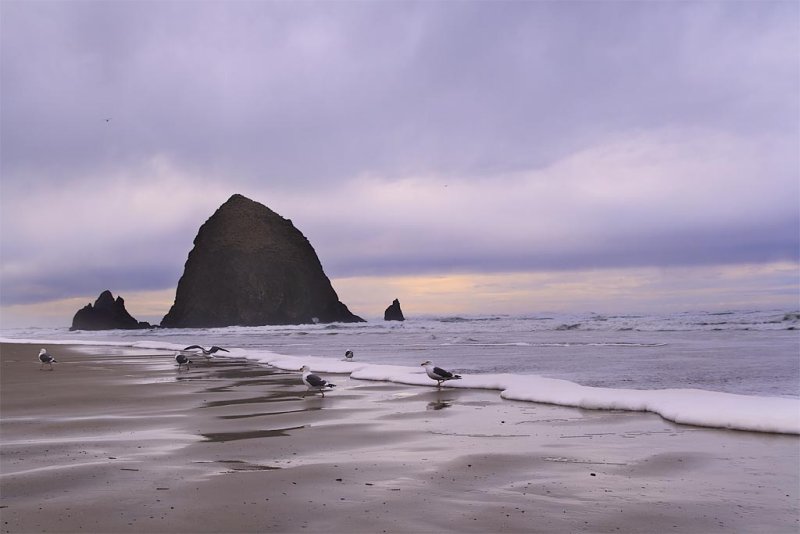 Haystack Rock 