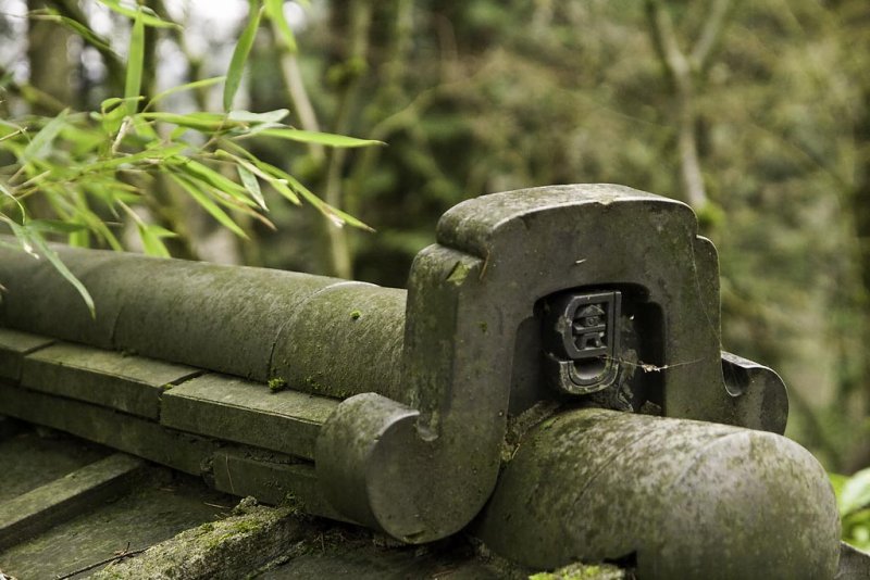 Japanese Gardens Portland Oregon