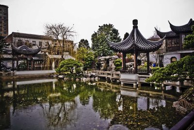 Chinese Garden 7