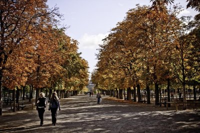 Paris_20081002_0104 copy.jpg