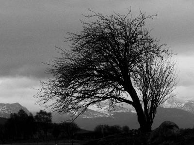 Cairngorm Silhouette