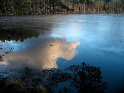 26th January Frozen Reflection
