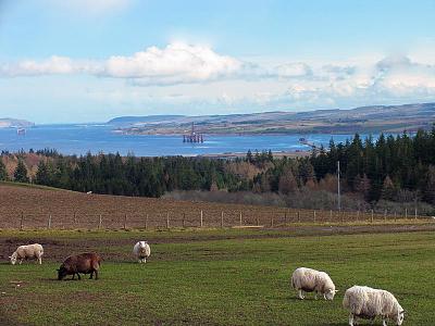 2nd April The Cromarty firth