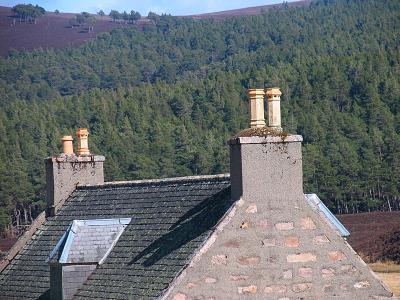 Caggan Chimneys.jpg