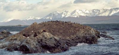 Ushuaia - The Beagle Channel