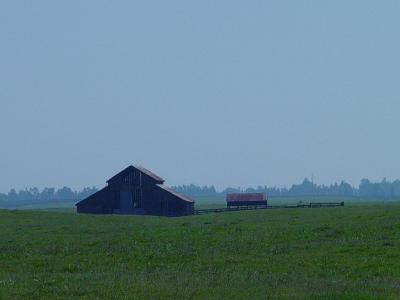 the old hay barn.JPG