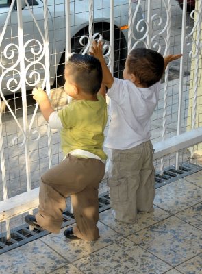 Amigos 3