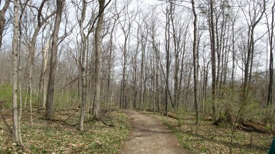 Trail_01.jpg