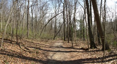 Trail_02.jpg