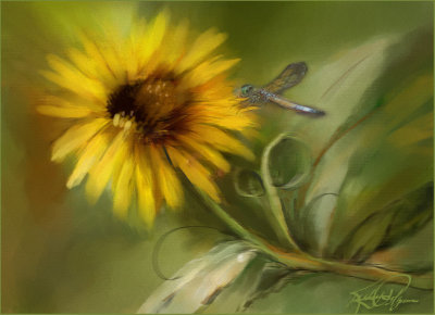 Wk4--Sunflower.jpg