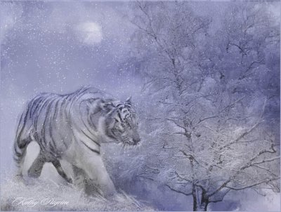 Snow-Tiger.jpg