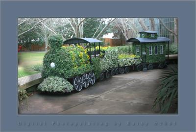 Plant Train Callaway Gardens.jpg