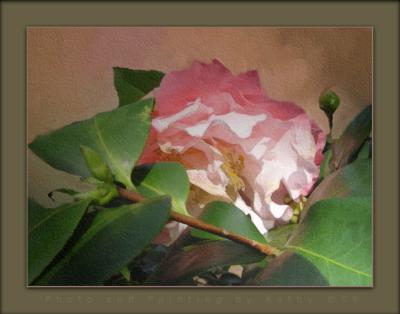 Camellia Painted.jpg