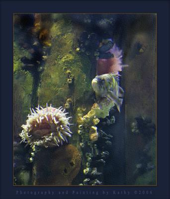 Anemone and Fish.jpg
