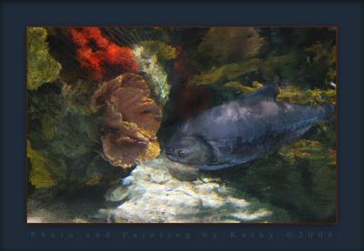 Fish Montage.jpg