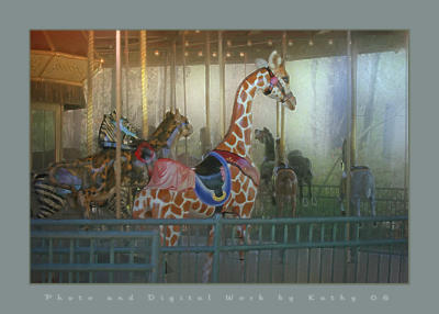 g3/10/523610/3/57451303.CarouselDigitized.jpg