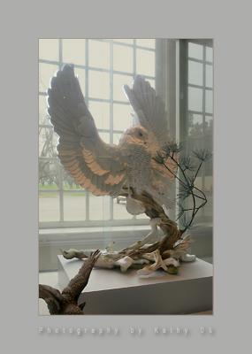 g3/10/523610/3/57710271.BoehmPorcelain.jpg
