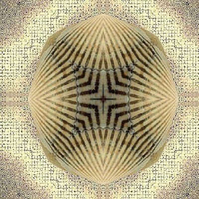 Kaleidescope2.jpg