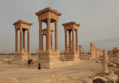 Palmyra 1.jpg