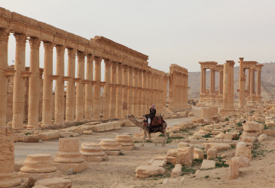 Palmyra 6.jpg