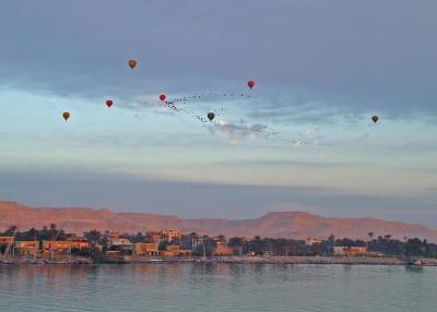 Balloons Chasing by Migrating Birds 1.jpg