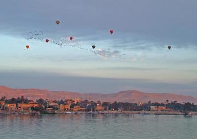 Balloons Chasing by Migrating Birds 2.jpg