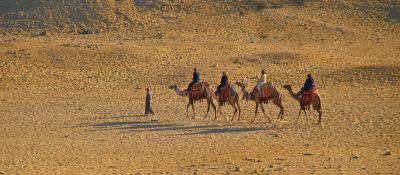 g3/10/558810/3/54661110.CamelRide2.jpg