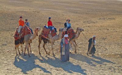Beat Camel Ride 1.jpg