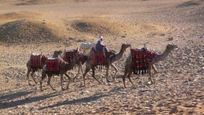 Camel Ride 1.jpg