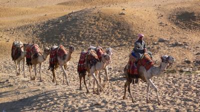 Camel Ride 2.jpg