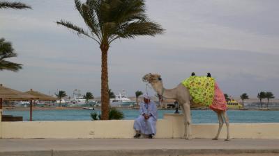 Hurghada Hilton Resort 4.jpg