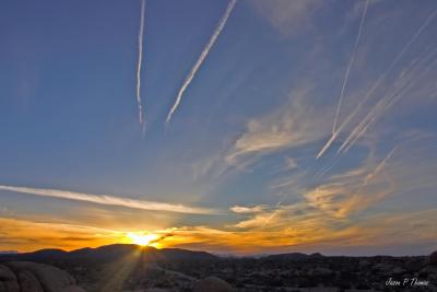 CRW_1788-01.jpg