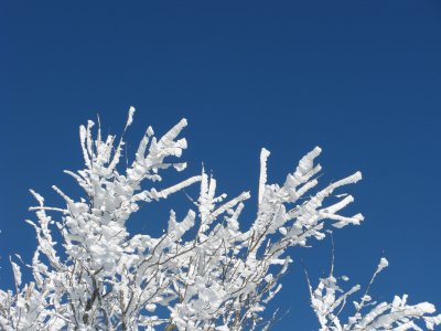 IMG_5940.JPG