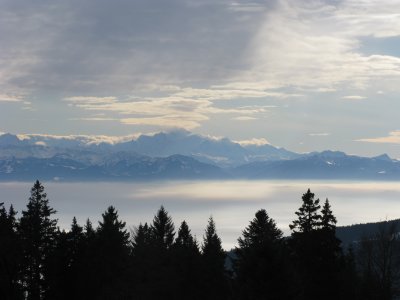 IMG_5984.JPG