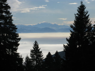 IMG_5986.JPG