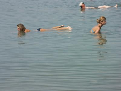 g3/10/590110/3/53697055.PICT3636.jpg