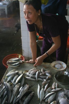 At the fish market  4