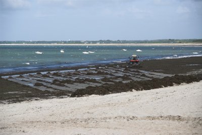 IMGP7445-01w.jpg
