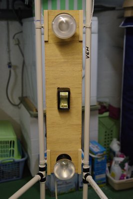 IMGP5140w.jpg