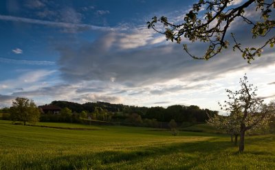 Heitenried Spring 2010