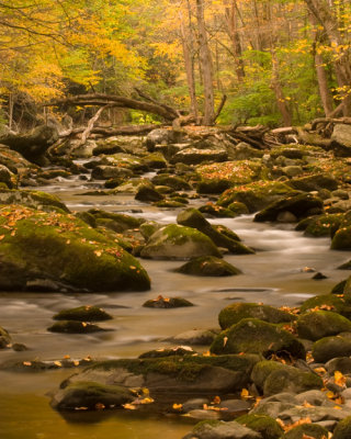 The Smoky Mountains 2007