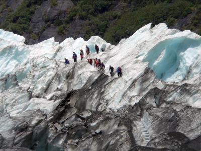 Hikers on Franz Josef Glacier 40564-web.jpg