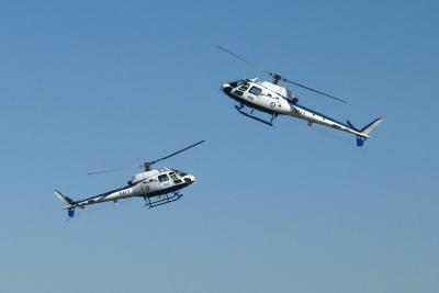 Dancing choppers 20238-web.jpg
