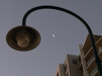 Beacon Cove moonlight 1010294-web.jpg