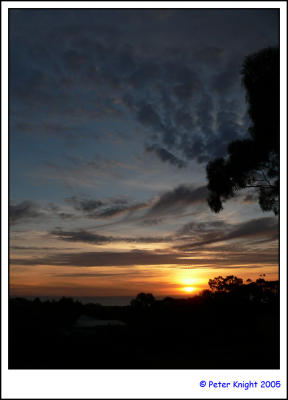 Mt Eliza 359-web.jpg