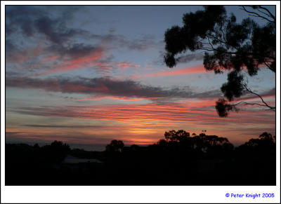 Mt Eliza 379-web.jpg