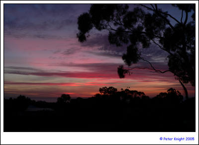 Mt Eliza 387-web.jpg