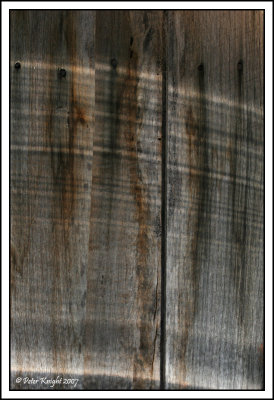Nov 17 Reflections on the fence.jpg