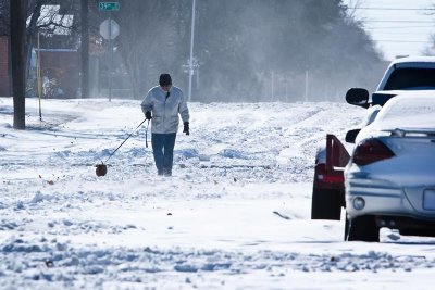 Go In The Snow