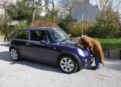 New Car Kissing Ritual